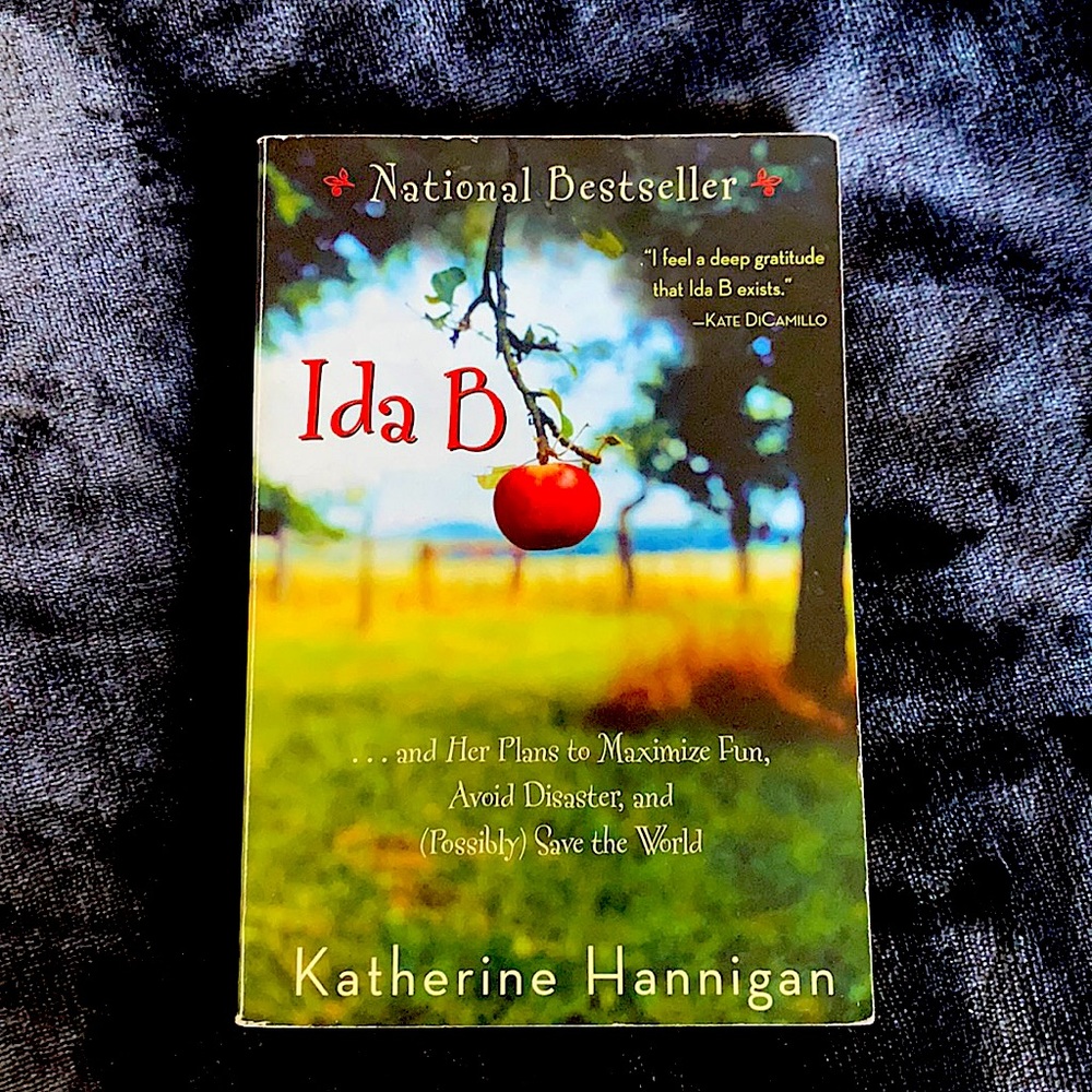 Book: Ida B